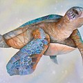 Sea Turtle- Twilight Swim